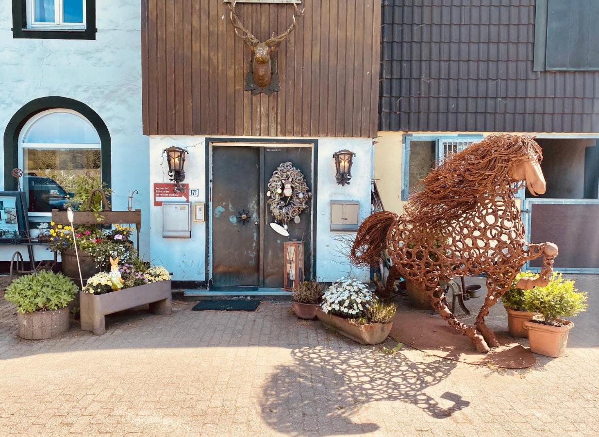 Hof Vierzehnender Im Hohen Venn - 70Qm Maisonette - 2 Schlafzimmer - Wohnkueche - Balkon Mit Grill - Monschau - Eifel - Hunde Willkommen - Islandpferde Exteriér fotografie