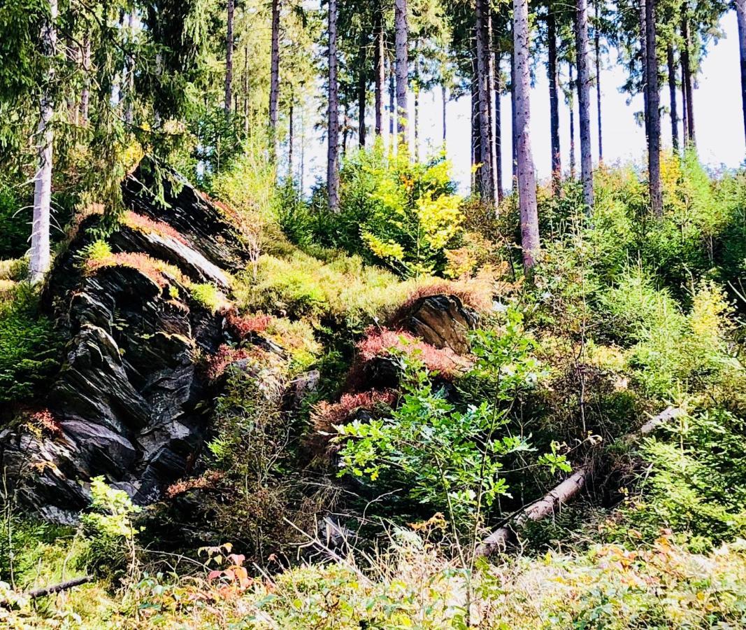Hof Vierzehnender Im Hohen Venn - 70Qm Maisonette - 2 Schlafzimmer - Wohnkueche - Balkon Mit Grill - Monschau - Eifel - Hunde Willkommen - Islandpferde Exteriér fotografie