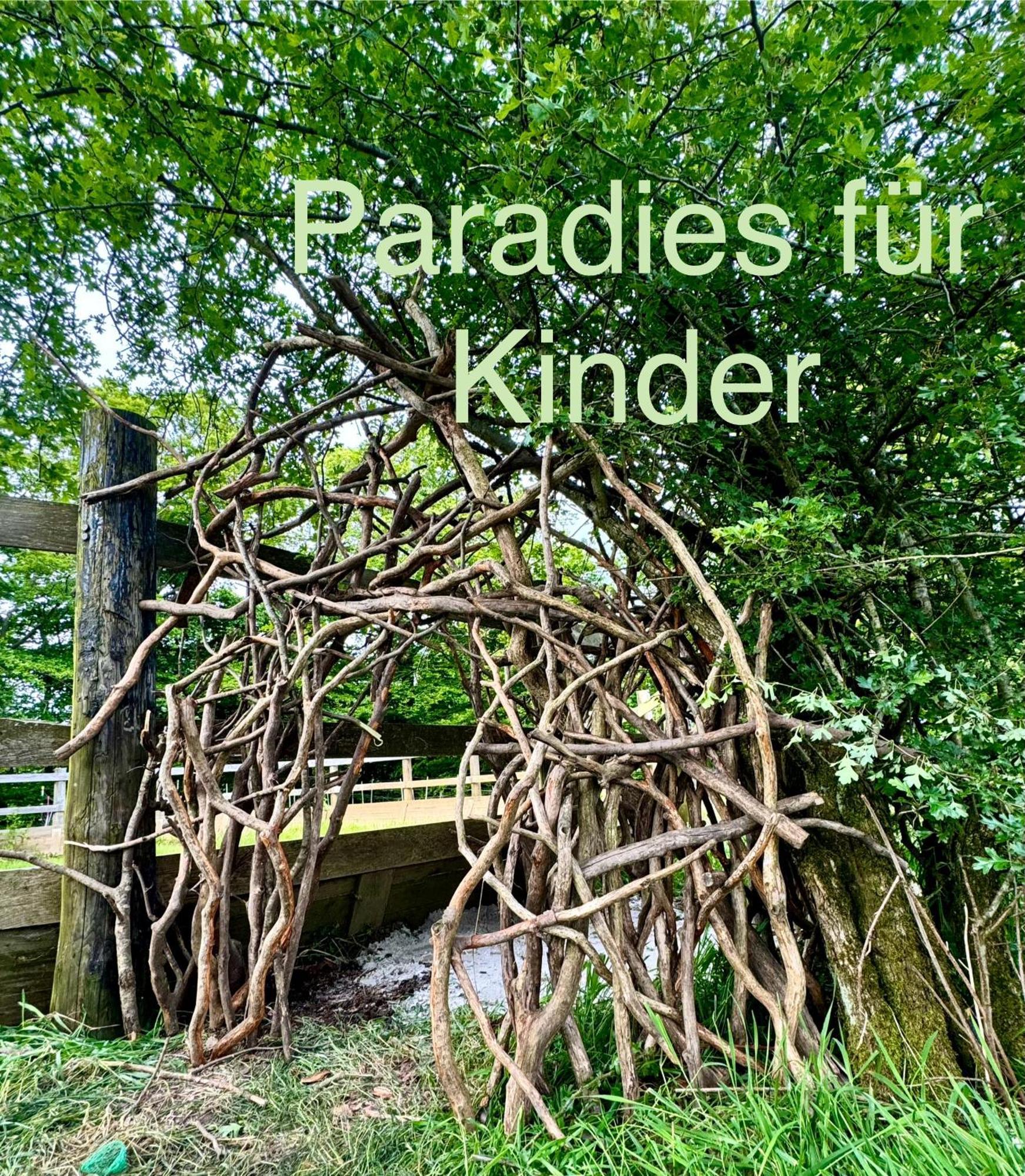Hof Vierzehnender Im Hohen Venn - 70Qm Maisonette - 2 Schlafzimmer - Wohnkueche - Balkon Mit Grill - Monschau - Eifel - Hunde Willkommen - Islandpferde Exteriér fotografie
