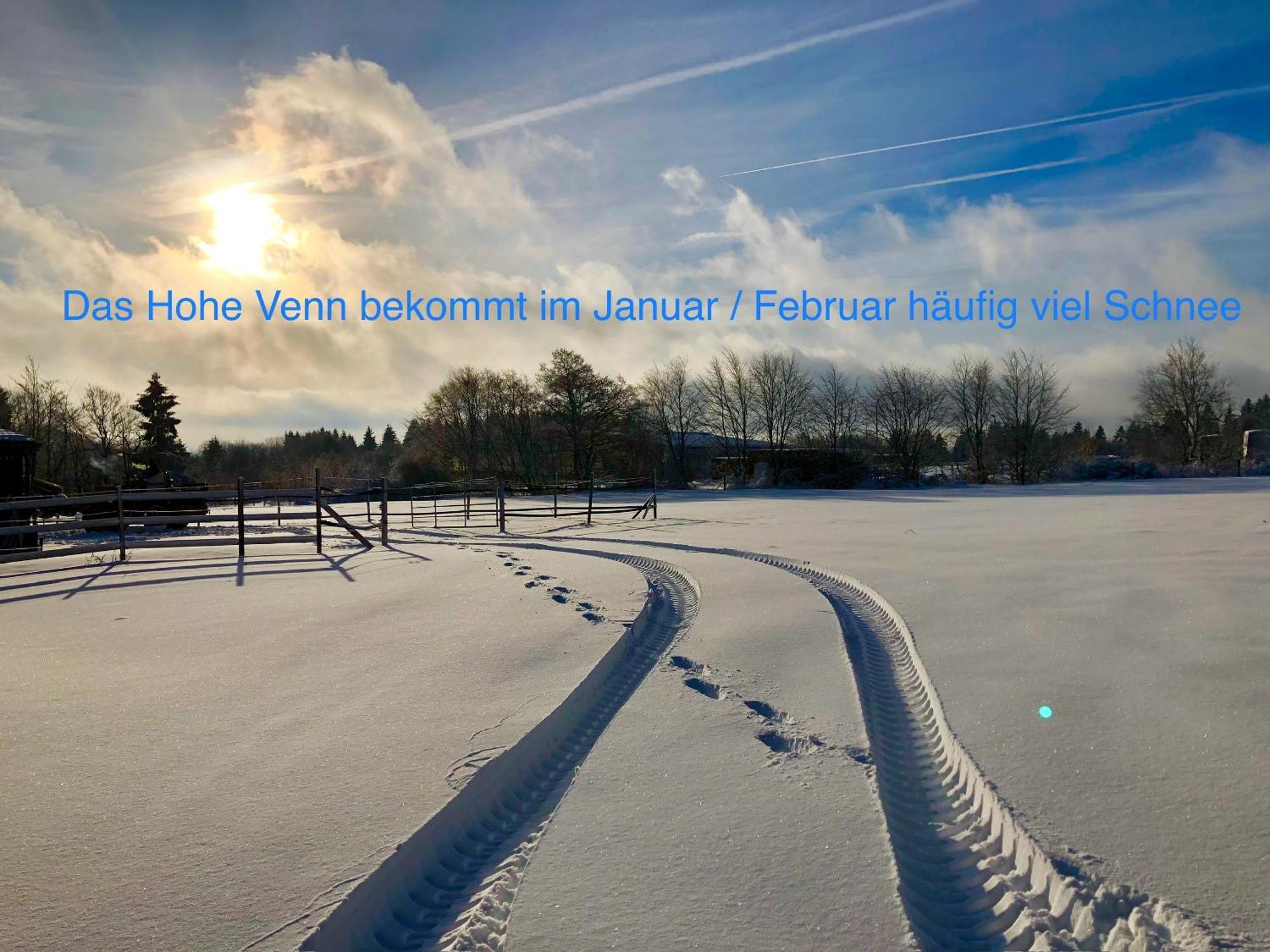 Hof Vierzehnender Im Hohen Venn - 70Qm Maisonette - 2 Schlafzimmer - Wohnkueche - Balkon Mit Grill - Monschau - Eifel - Hunde Willkommen - Islandpferde Exteriér fotografie